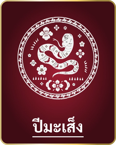 XII Zodiac mini card
